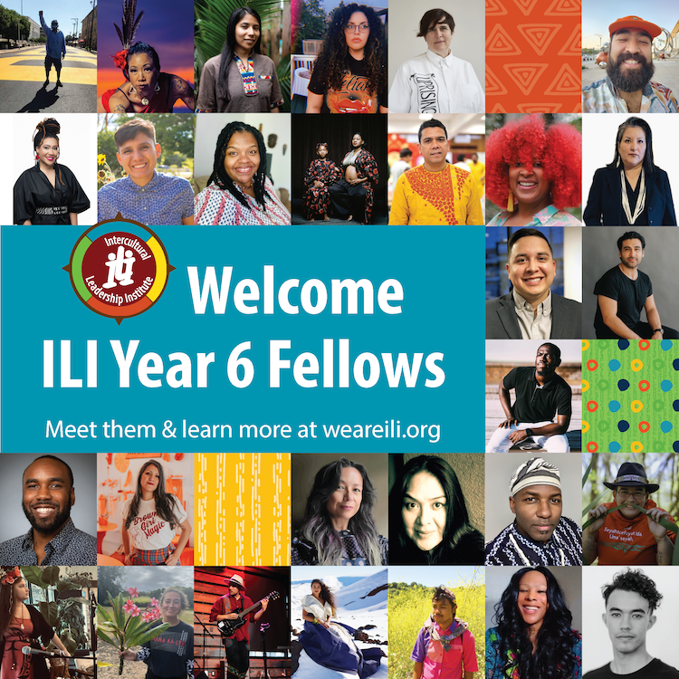 ILI Year 6 Fellows Grid